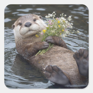 Adesivo Quadrado Lontra Flutuando com Buquê de Flores Silvestres