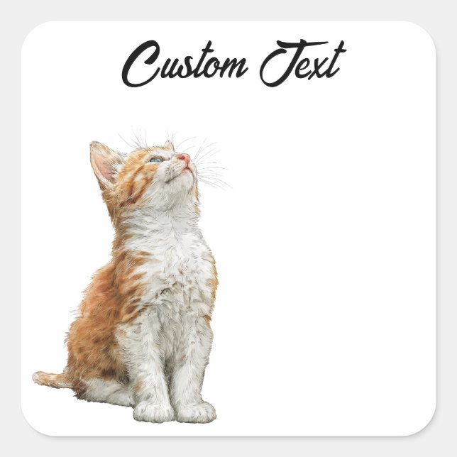 Adesivo Quadrado Looking Up Cat | Personalized Custom Text (Frente)