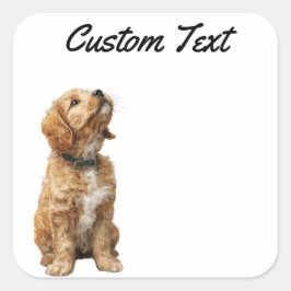 Adesivo Quadrado Looking Up Puppy-3 | Personalized Custom Text