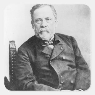 Adesivo Quadrado Louis Pasteur