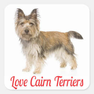 Adesivo Quadrado Love Cairn Terrier Puppy Dog Saudação Stickers
