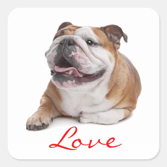 Adesivo Quadrado Love Happy Bulgue Puppy Dog Sticker (Frente)