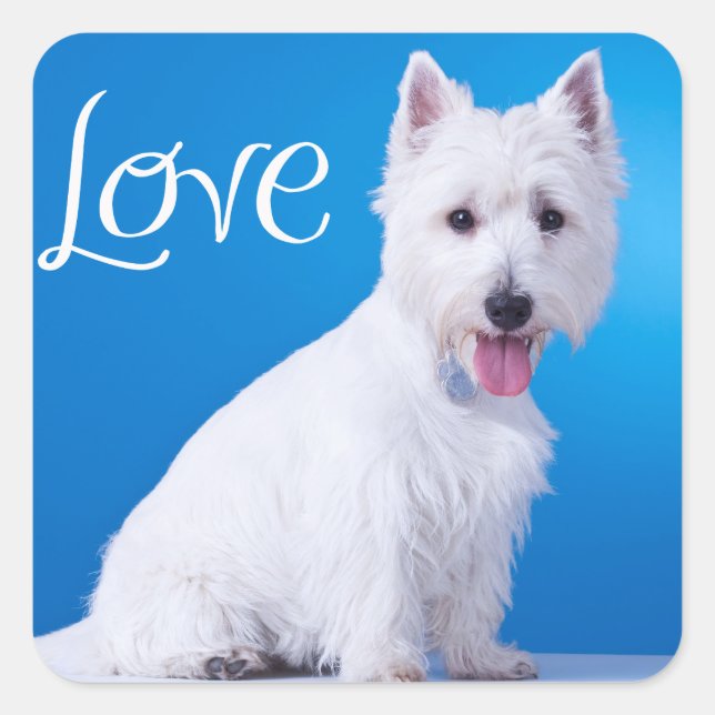 Adesivo Quadrado Love West Highland Terrier Puppy Dog Sticker Seal (Frente)