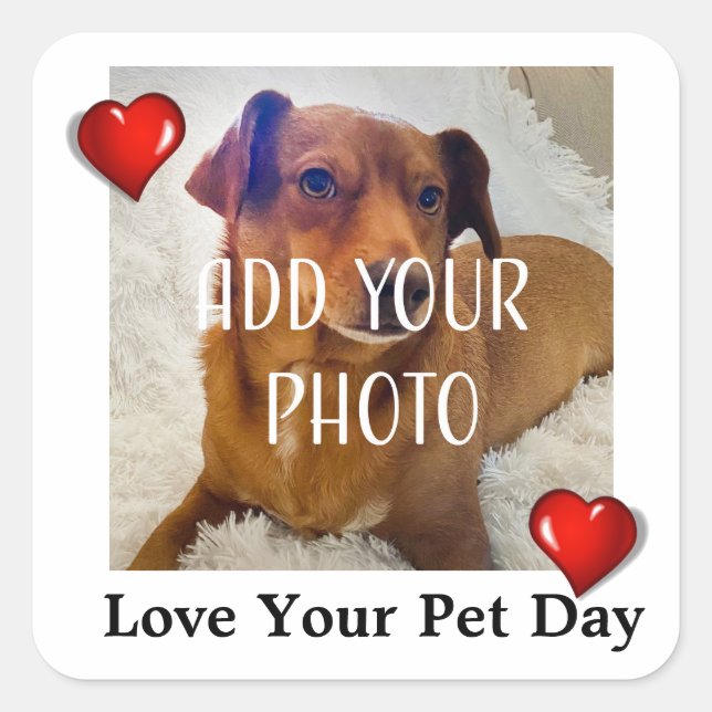Adesivo Quadrado Love Your Pet Day (Frente)