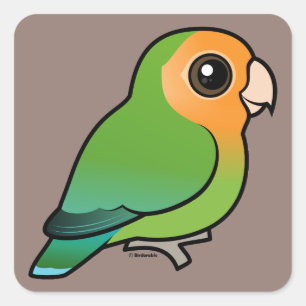 Adesivo Quadrado Lovebird Pêssego-enfrentado Alaranjado-enfrentado