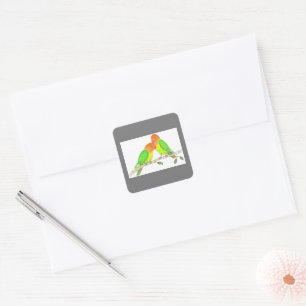 Adesivo Quadrado Lovebird Sticker