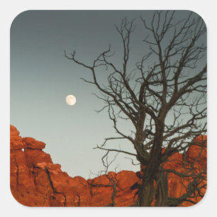 Adesivo Quadrado Lua Wicked