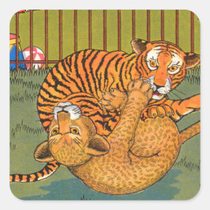 Adesivo Quadrado luta do tigre e do leopardo