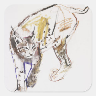 Adesivo Quadrado Lynx Europeu