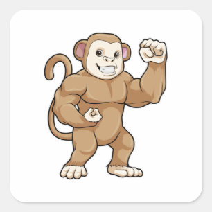 Adesivo Quadrado Macaco como Criador de Portos em Bodybuilding