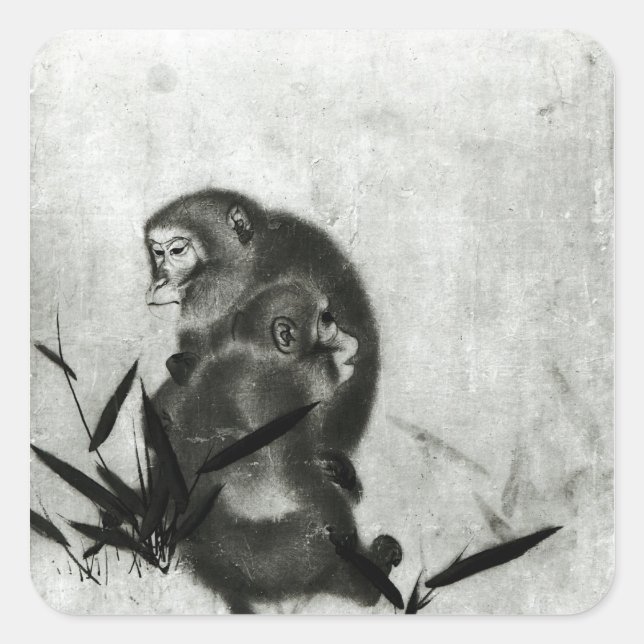 Adesivo Quadrado Macacos (Frente)