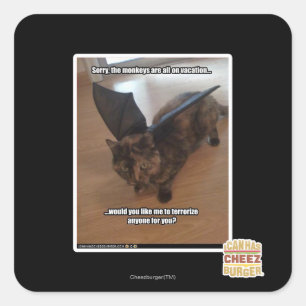 Adesivo Quadrado Macacos de férias