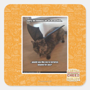 Adesivo Quadrado Macacos em férias