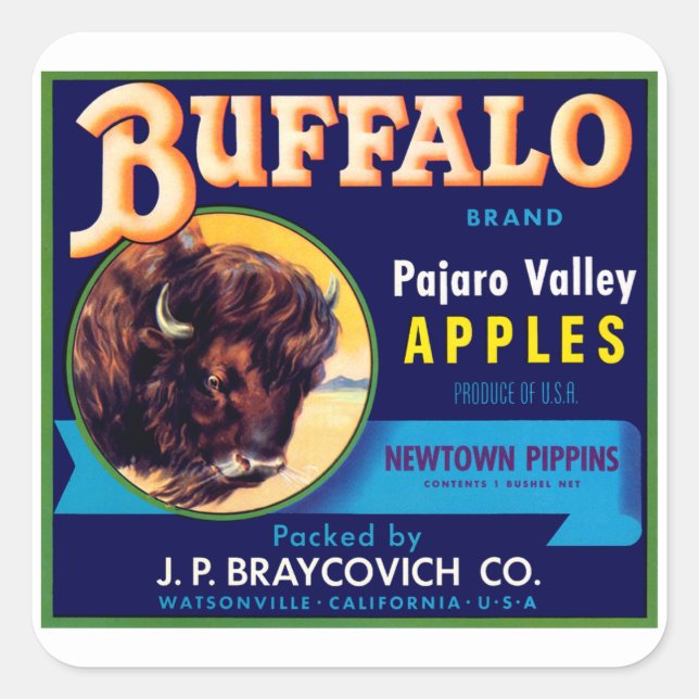 Adesivo Quadrado Maçãs de Buffalo (Frente)