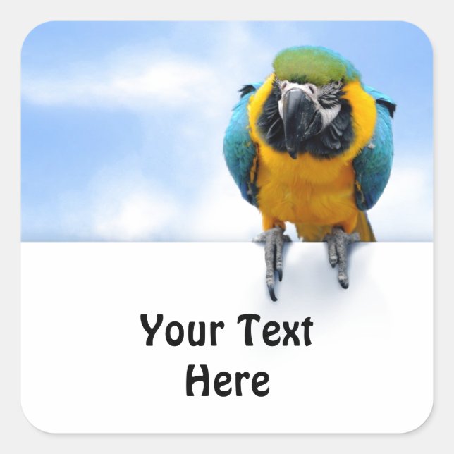 Adesivo Quadrado Macaw personalizável (Frente)