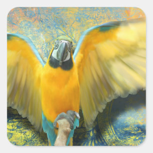 Adesivo Quadrado Macaw Square Sticker