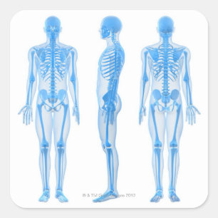 Adesivo Quadrado Macho Skeleton