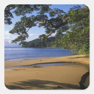 Adesivo Quadrado Madagáscar, Reserva Especial de Nosy Mangabe, em