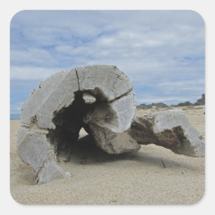 Adesivo Quadrado Madeira derivada no Oceano Pacífico de Praia da C