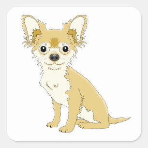 Adesivo Quadrado Mãe de Chihuahua Cachorro Pai Filhotes Resgate Car