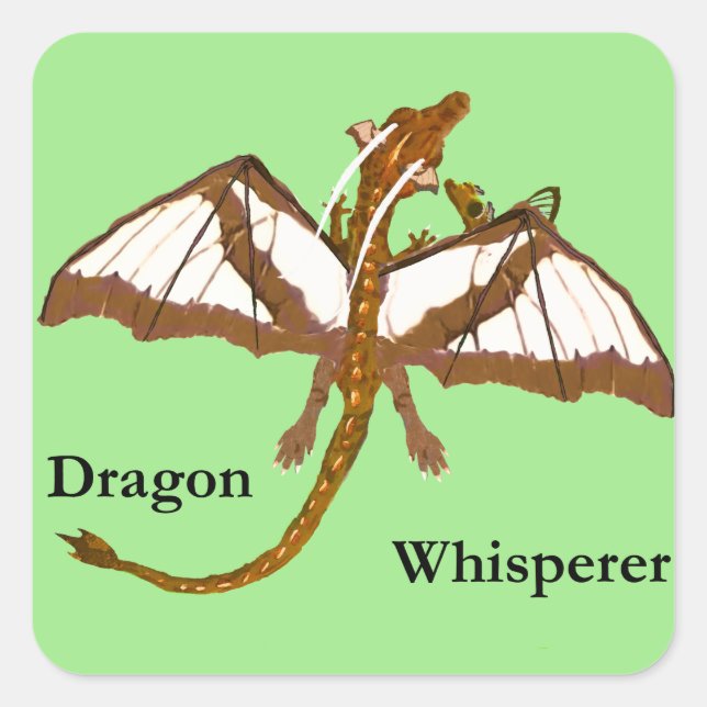 Adesivo Quadrado Mãe e Dragões Infantis (Frente)