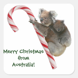 Adesivo Quadrado Mãe e Joey Koala Candy Cane no Natal
