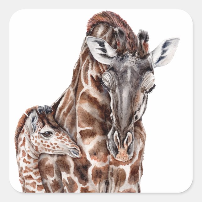 Adesivo Quadrado Mãe Girafa com Baby Giraffe (Frente)