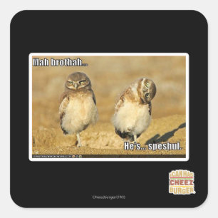 Adesivo Quadrado Mah Brothah