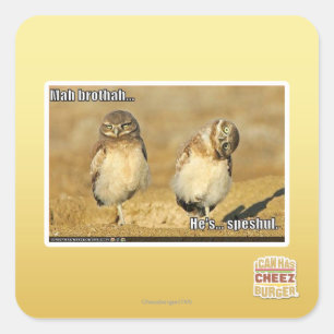 Adesivo Quadrado Mah Brothah