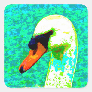 Adesivo Quadrado Maiestoso Cabeça Branca de Cisne