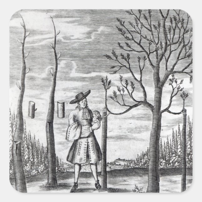 Adesivo Quadrado Maladias de jardinagem e de plantas (Frente)