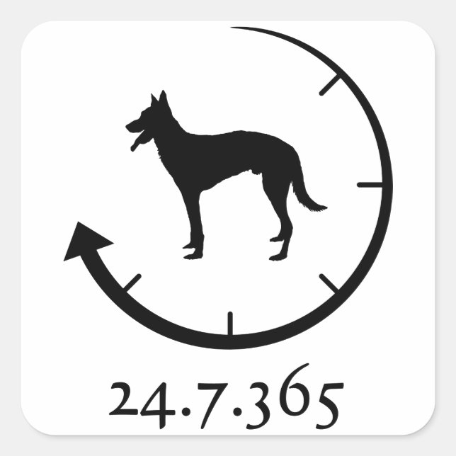 Adesivo Quadrado Malinois belgas (Frente)