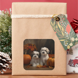 Adesivo Quadrado Malti tzu Puppy Autumn Delight Pumpkin