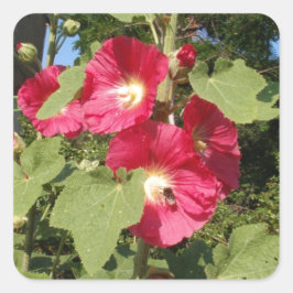 Adesivo Quadrado Malvarisas Rosa