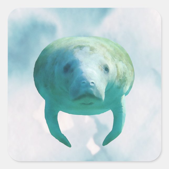 Adesivo Quadrado Manatee Watercolor (Frente)