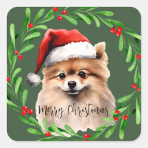 Manipulação de Cães de Aquarela de Natal Pomerania