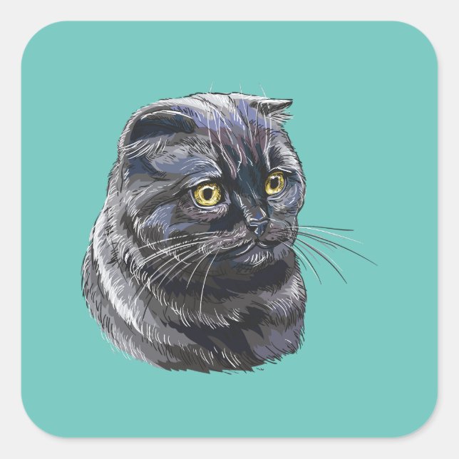 Adesivo Quadrado Mão desenhando engraçado gato britânico negro fofo (Frente)