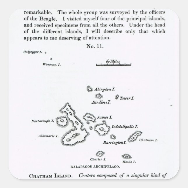 Adesivo Quadrado Mapa do Arquipélago das Galápagos, 1844 (Frente)
