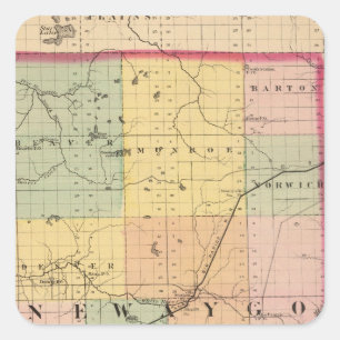 Adesivo Quadrado Mapa do Condado de Newaygo, Michigan