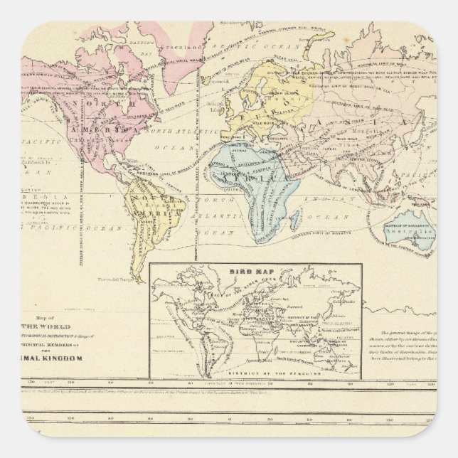 Adesivo Quadrado Mapa em cor do Mundo (Frente)