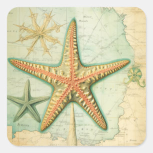 Adesivo Quadrado Mapa náutico do peixe-estrela da Vintage