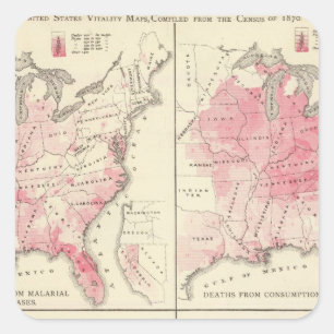 Adesivo Quadrado Mapas da vitalidade dos Estados Unidos