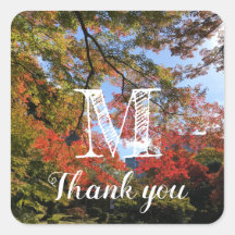 Mapeamentos Vermelhos no Jardim Japonês