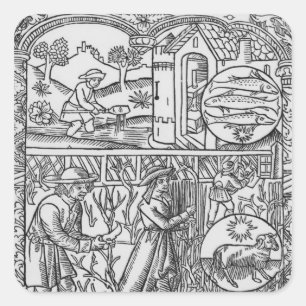 Adesivo Quadrado Marcha, pesca e poda de árvores, Peixes