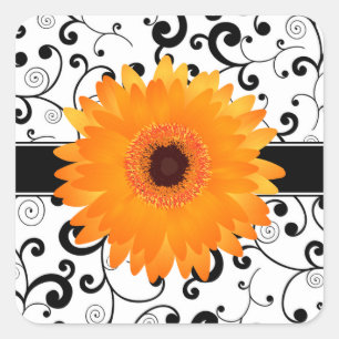 Adesivo Quadrado Margarida alaranjada do Gerbera com selo preto do