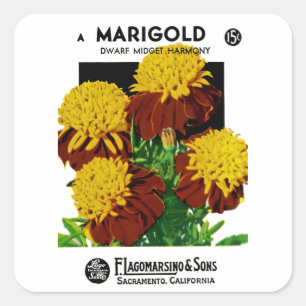 Adesivo Quadrado Marigold