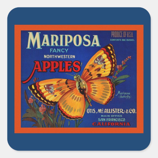 Adesivo Quadrado Mariposa Apple (Frente)