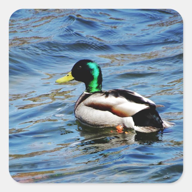 Adesivo Quadrado Marllad (Frente)