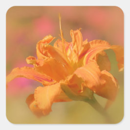 Adesivo Quadrado Marmalade - Daylily