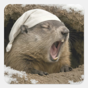 Adesivo Quadrado Marmota bocejando usando um gorro de dormir